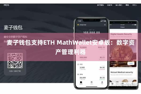 麦子钱包支持ETH MathWallet安卓版：数字资产管理利器
