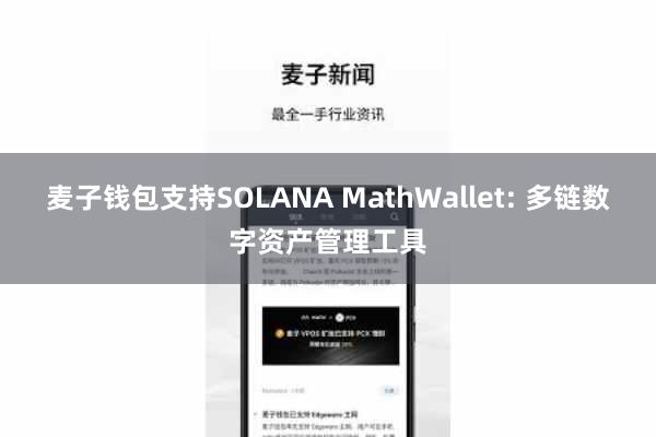 麦子钱包支持SOLANA MathWallet: 多链数字资产管理工具
