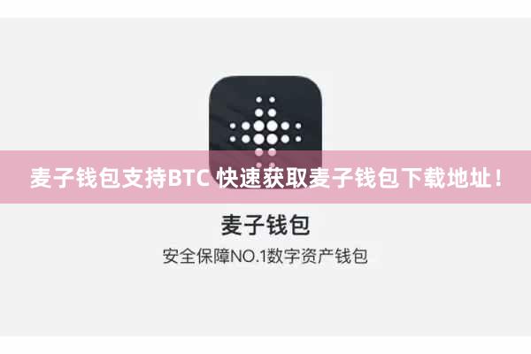 麦子钱包支持BTC 快速获取麦子钱包下载地址！