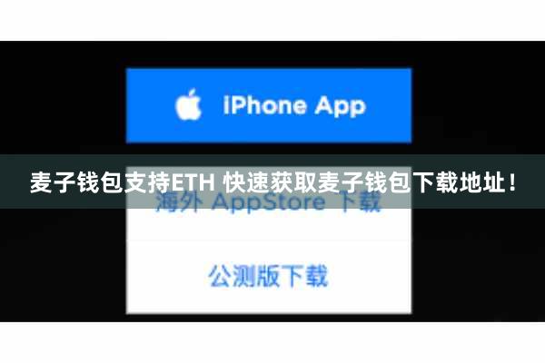 麦子钱包支持ETH 快速获取麦子钱包下载地址！