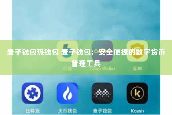 麦子钱包热钱包 麦子钱包：安全便捷的数字货币管理工具