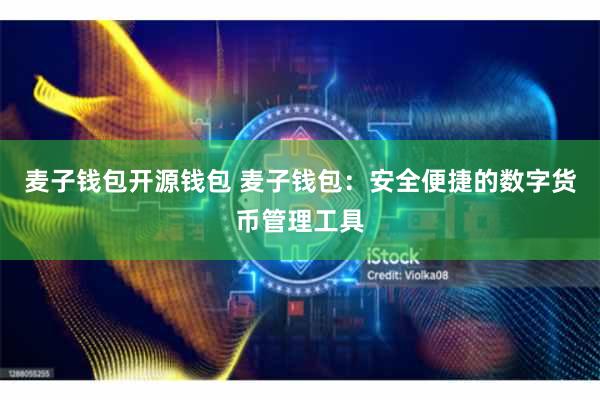 麦子钱包开源钱包 麦子钱包：安全便捷的数字货币管理工具