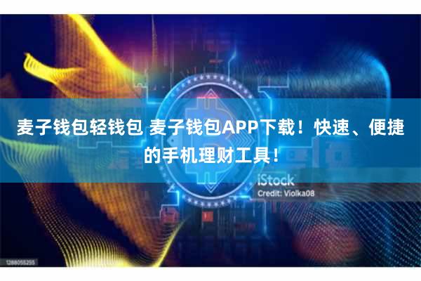 麦子钱包轻钱包 麦子钱包APP下载！快速、便捷的手机理财工具！