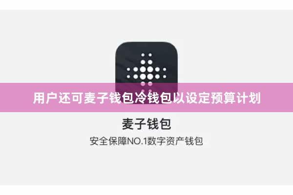 用户还可麦子钱包冷钱包以设定预算计划