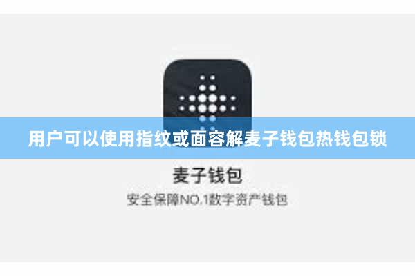 用户可以使用指纹或面容解麦子钱包热钱包锁
