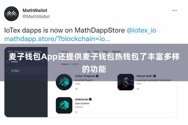 麦子钱包App还提供麦子钱包热钱包了丰富多样的功能