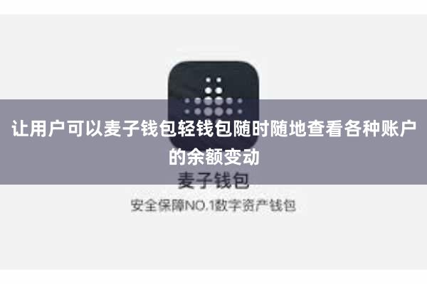 让用户可以麦子钱包轻钱包随时随地查看各种账户的余额变动
