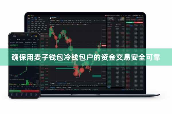 确保用麦子钱包冷钱包户的资金交易安全可靠