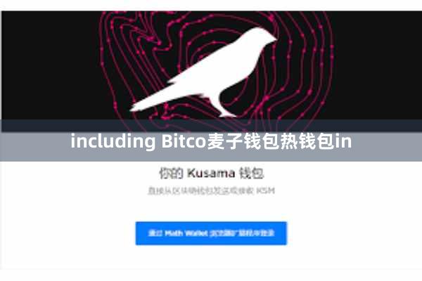 including Bitco麦子钱包热钱包in