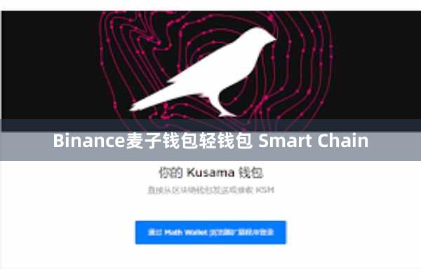 Binance麦子钱包轻钱包 Smart Chain