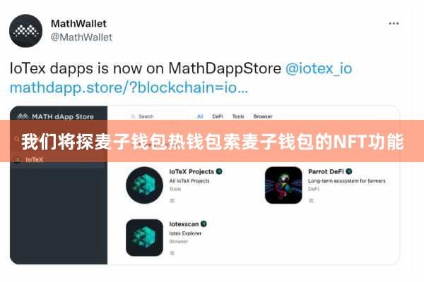 我们将探麦子钱包热钱包索麦子钱包的NFT功能