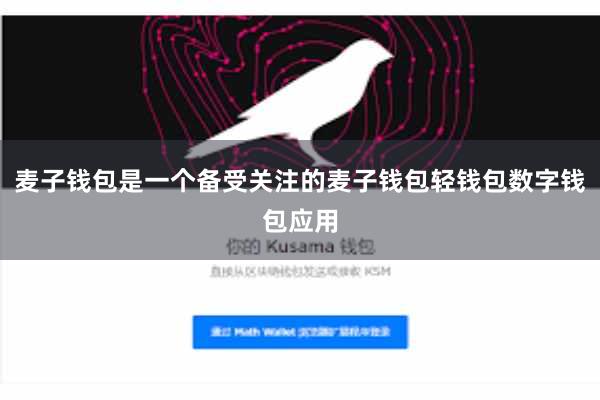 麦子钱包是一个备受关注的麦子钱包轻钱包数字钱包应用