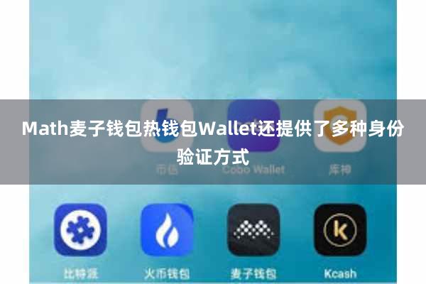 Math麦子钱包热钱包Wallet还提供了多种身份验证方式