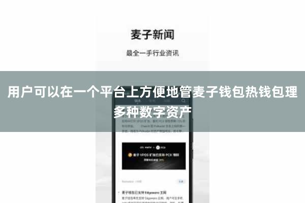 用户可以在一个平台上方便地管麦子钱包热钱包理多种数字资产